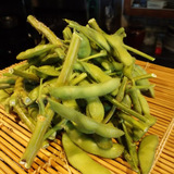 枝豆